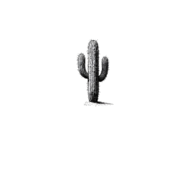 Cactus & Co. Designs